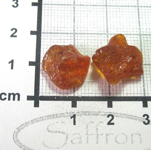 Přírodní Jantar - Litva pár č 3 — foto 1