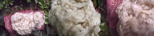 Kudrnky - Leicester - 100 g — foto 1