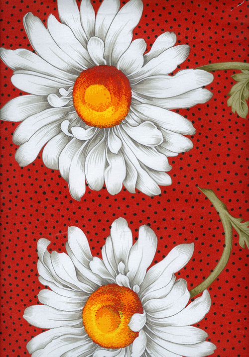466 - Daisy Delight 586-03