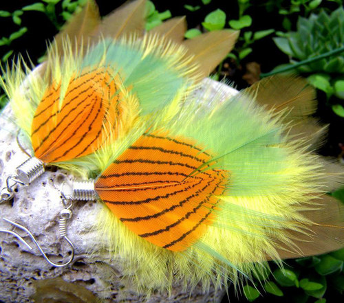 Physalis — foto 1