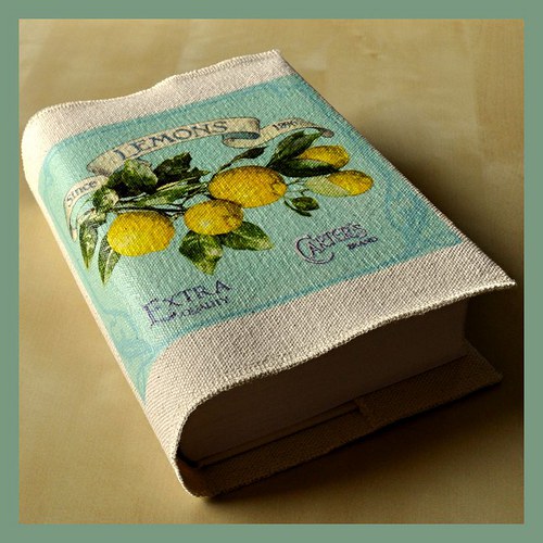Lemons Extra - obal na knihu — foto 1