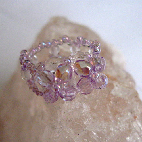 Dívčí fialovoučký — foto 1
