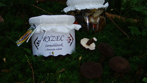 Ryzec černohlávek s beraním rohem — foto 1