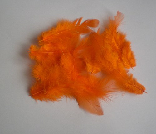Oranžové pierka — foto 1