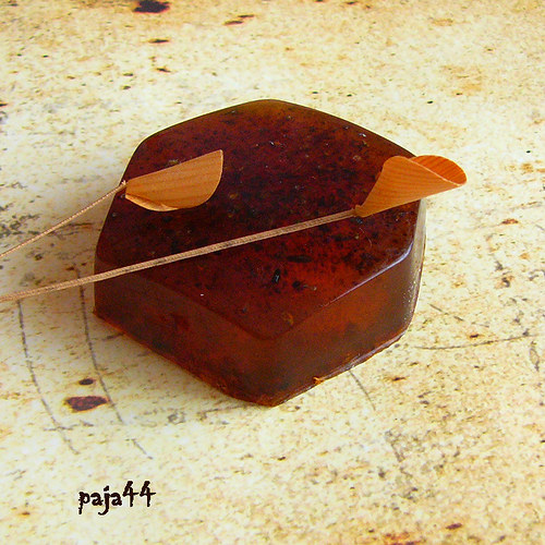 Rakytník — foto 1