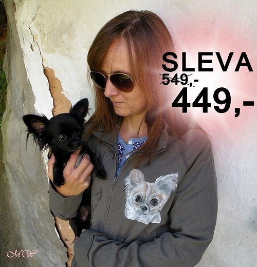 Čivava kvarteto ..... mikina SLEVA — foto 1