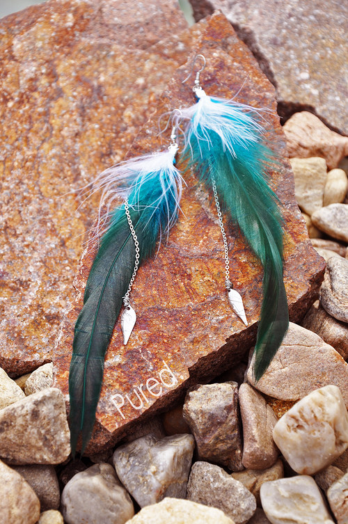 NavajoBird. — foto 1