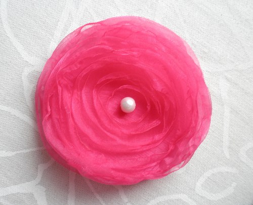 Oblíbená růžová nejrůžovější! :) — foto 1