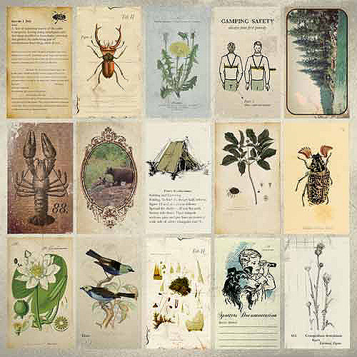 Document Specialty - KC - scrapbook — foto 1