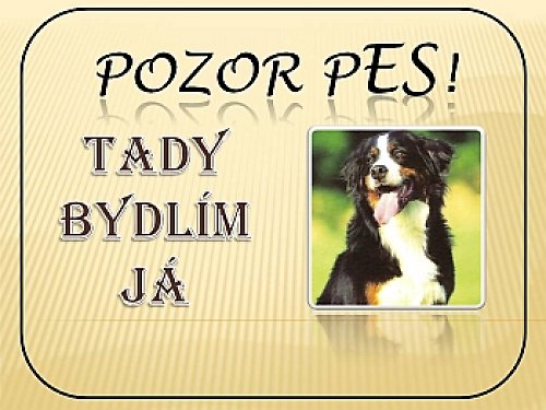 Cedulka na plot... Pozor pes! - Bernský sal. pes — foto 1
