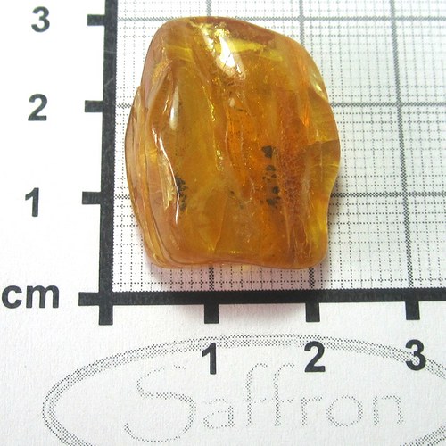 Přírodní Jantar - Litva č.02 — foto 1
