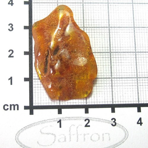 Přírodní Jantar - Litva č.08 — foto 1