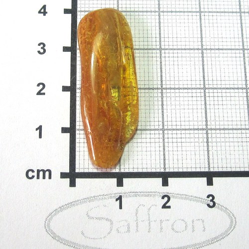 Přírodní Jantar - Litva č.011 — foto 1