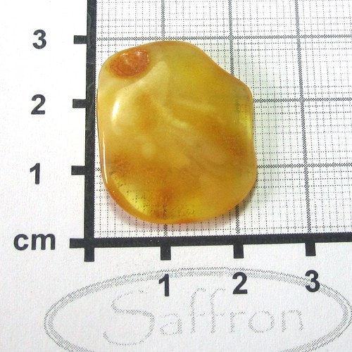 Přírodní Jantar - Litva č.014 — foto 1