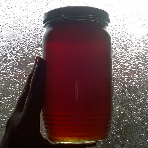 Dědův včelí lesní med/2011- 1kg — foto 1