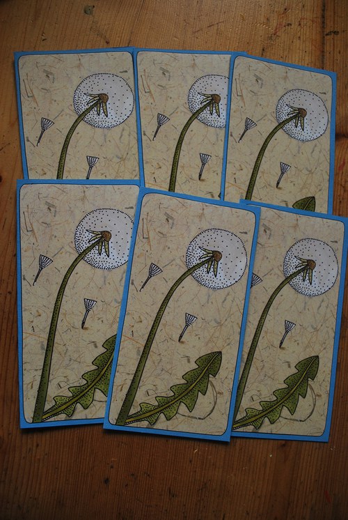 Přání - pampeliška — foto 1