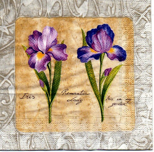 Iris - Romantic Lady — foto 1