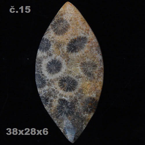 Fosilní korál- CABOCHON — foto 1