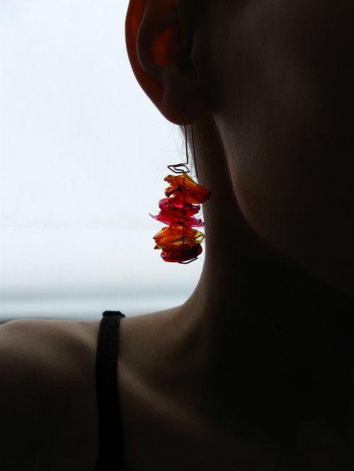 Ohnivky — foto 1