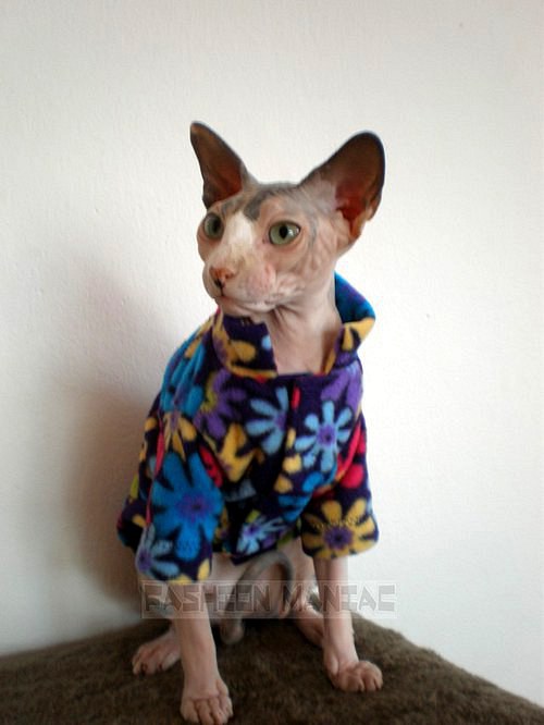 Mikina pro sphynx — foto 1