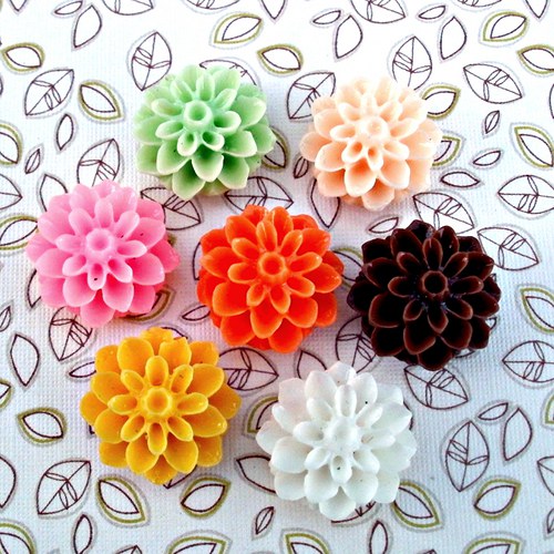 Kabošonky chrysantemky - sada — foto 1