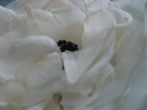 Smetanová — foto 1