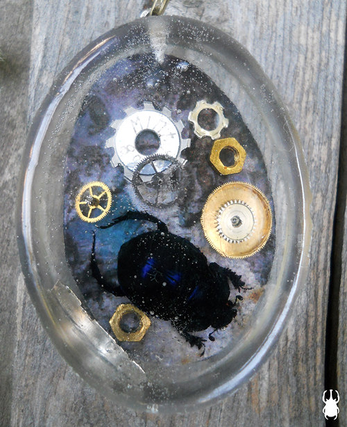 Co se děje pod vodou? — foto 1