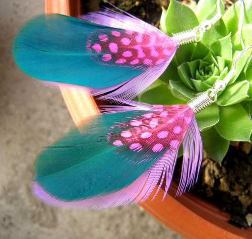 Blue Wings — foto 1