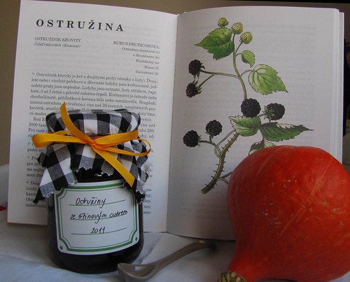 Ostružinový džem s třtinovým cukrem — foto 1