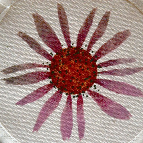 Podtácky- Echinacea — foto 1