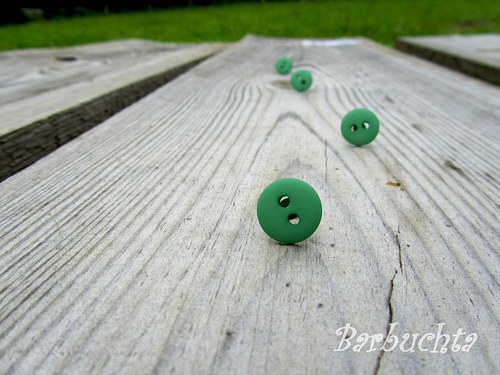 Zelené knoflíky — foto 1