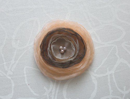 Hnědá s lososovým límcem — foto 1