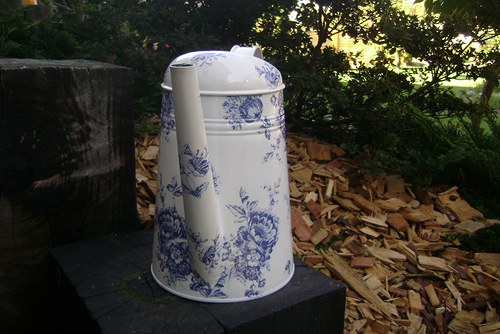 Cibulákova hladká — foto 1