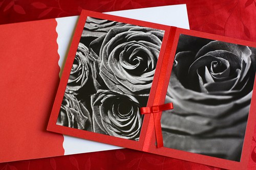 Roses in red-black-white — foto 1