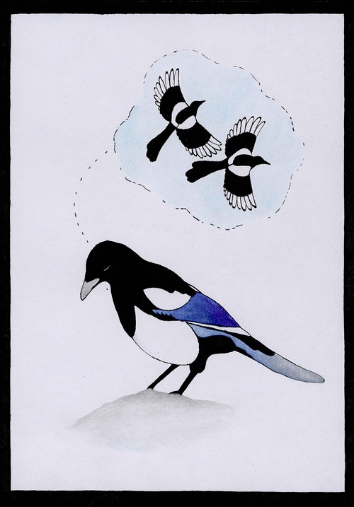 One for Sorrow, Two for Joy... — foto 1