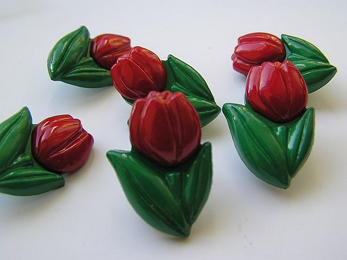 Tulipán - červený — foto 1