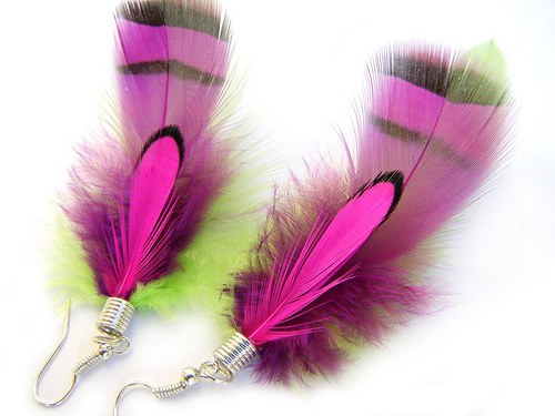Violet Pheasant — foto 1
