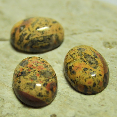 Jaspis leopard kabošon 16x12 mm — foto 1