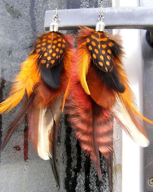 Wild orange — foto 1