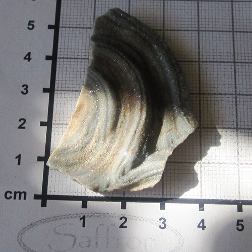 Chalcedonová růže č.4 — foto 1