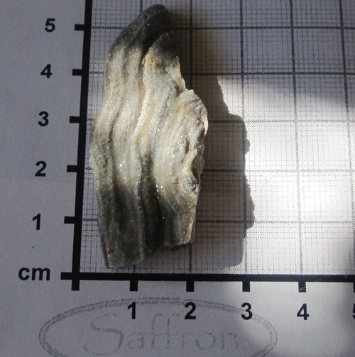 Chalcedonová růže č.5 — foto 1