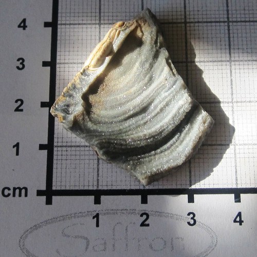 Chalcedonová růže č.6 — foto 1