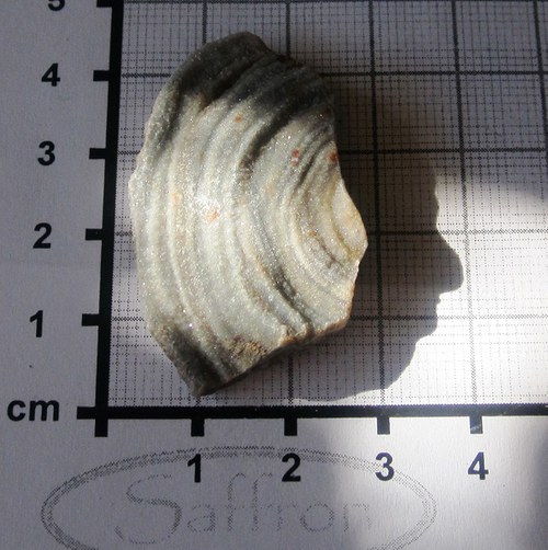 Chalcedonová růže č.9 — foto 1