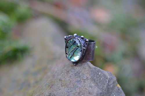 Paua — foto 1