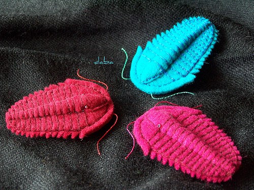 Trilobit-tyrkysový — foto 1