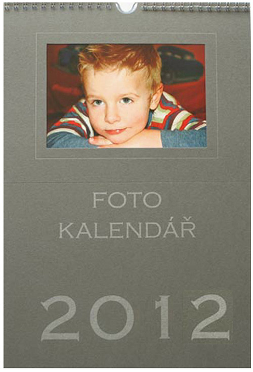 Nástěnný kalendář šedý - 2012 — foto 1