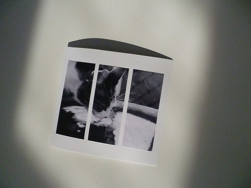 Tiše, je plachá. / pohlednice — foto 1