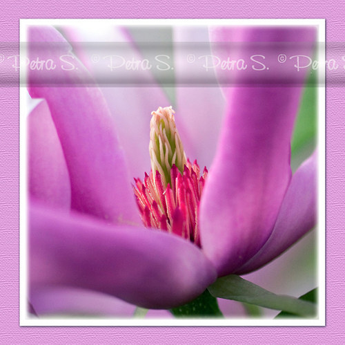 Sada ELEGANCE 3 — foto 1