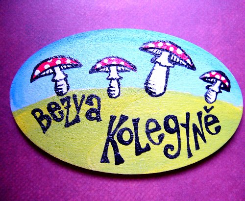 Veselá placka BEZVA KOLEGYNĚ — foto 1
