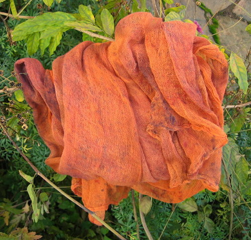 Oranžová Skořicová — foto 1